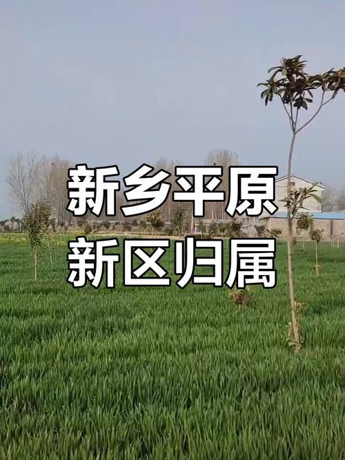 查找河南省新乡市新乡市平原城乡一体化示范区最新疫情:新乡平原区最新消息