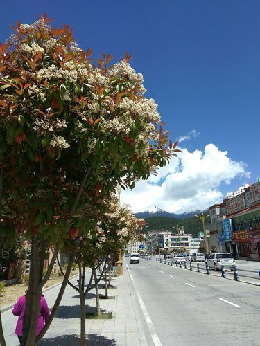 【西藏自治区林芝市巴宜区11月28日新增破10,林芝市巴宜区城区视频】