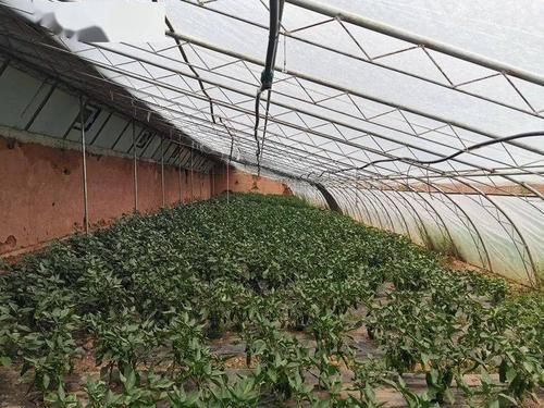 丁青县疫情最新实数据:丁青县属于哪个省
