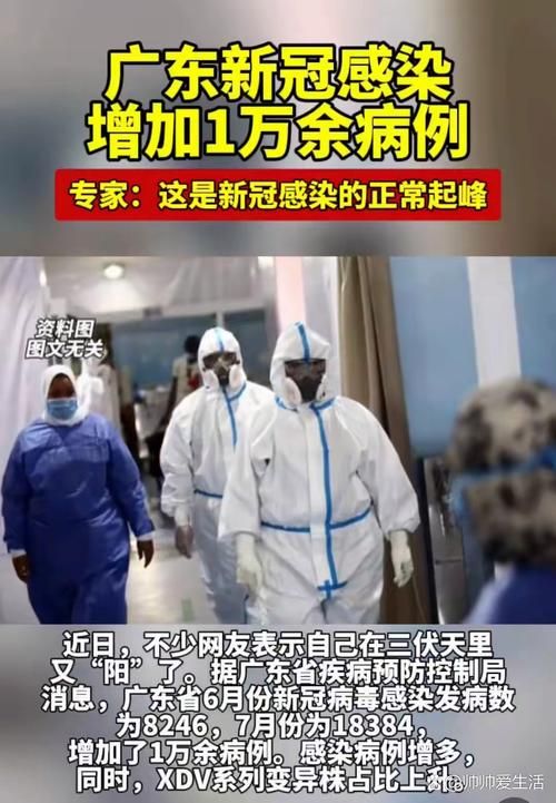 【31省份新增15例核酸阳性涉26省_31省新增250 626】