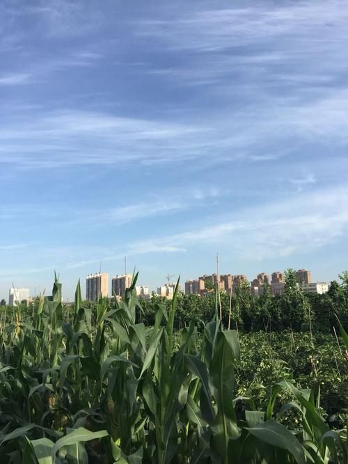 疫情防控中风险地区!陕西省宝鸡市陈仓区/陕西省宝鸡市陈仓区区号