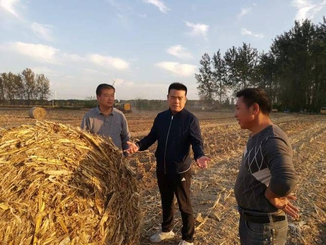 泗县发现1名密接者!/泗县打架最新消息