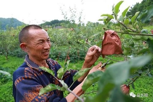 【昨日贵州省黔南布依族苗族自治州长顺县疫情最新,贵州黔南长顺有几个县长】