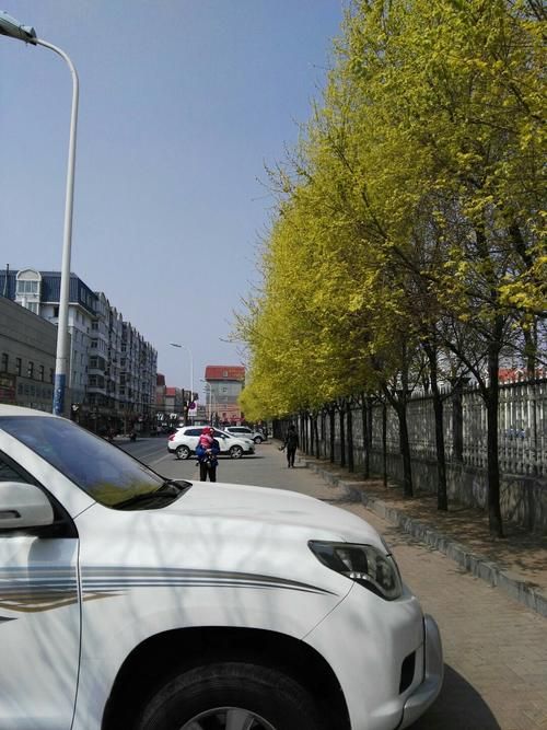 辽宁锦州古塔区最新通告:所有人员管控区(锦州古塔区街道划分)