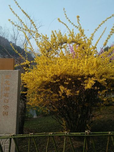 江苏省徐州市贾汪区几个地区有疫情发生_徐州贾汪区2026年7月21日