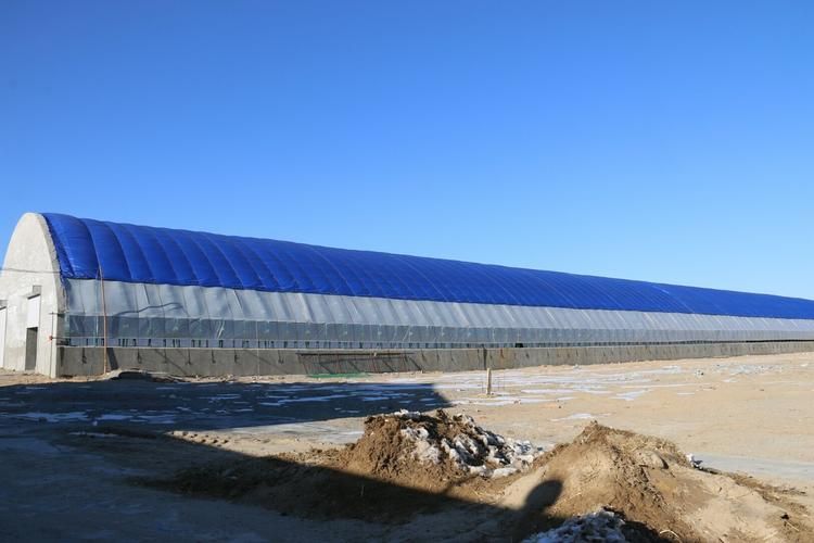 查找最新疫情内蒙古自治区通辽市科尔沁左翼中旗_内蒙古通辽科尔沁左翼中旗医保电话