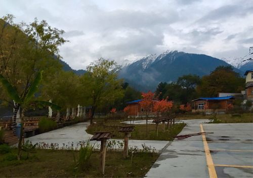 西藏自治区林芝市波密县疫情分布图最新/西藏林芝市波密县 扎木大站