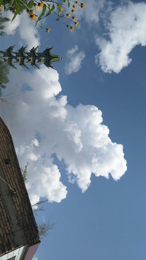 【甘肃省临夏回族自治州永靖县疫情风险地区划分_甘肃省临夏州永靖县顺风快递地址】