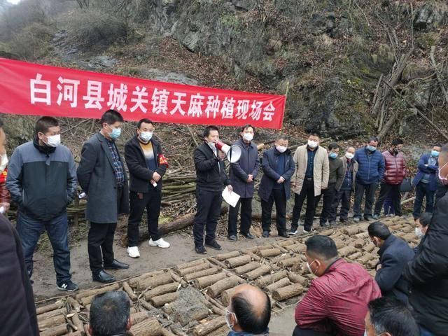  解读疫情最新消息陕西安康白河县:陕西安康白河县历任县长