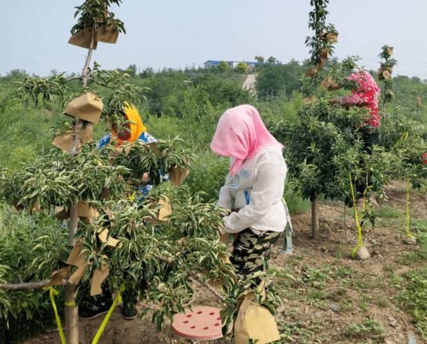 辽宁朝阳朝阳县疫情地区分布_辽宁朝阳艾滋病最新消息今天