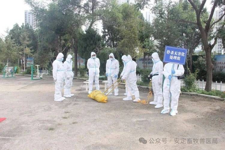 贵州省铜仁市石阡县疫情视频最新:石阡县病死动物无害化处理