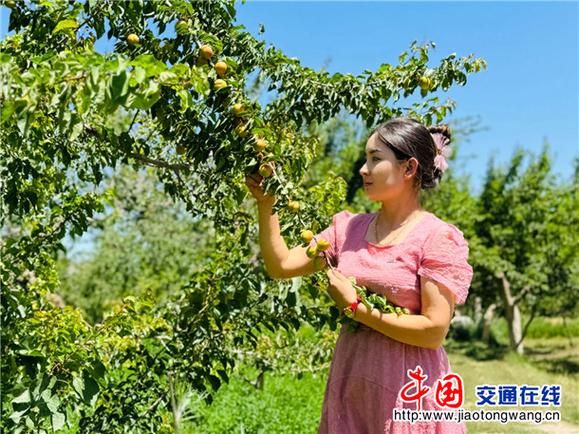 疫情公告英吉沙县最新(2026年英吉沙县最新干部任免)