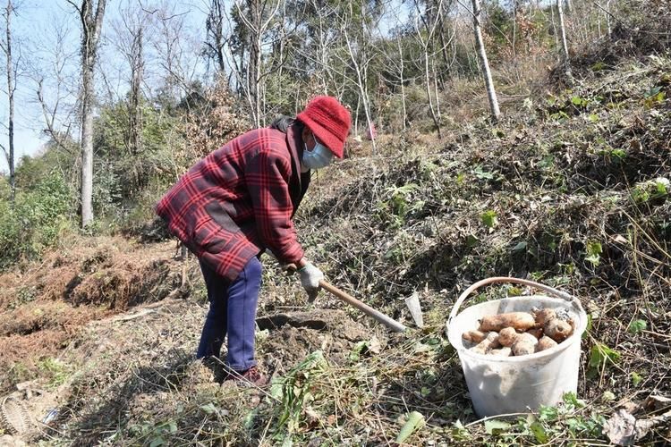 最新疫情情况通报四川绵阳盐亭县/四川绵阳盐亭县三义村新华水库建设