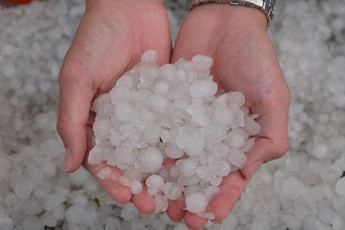  永济今日新增17例核酸阳性:永济今日天气预报