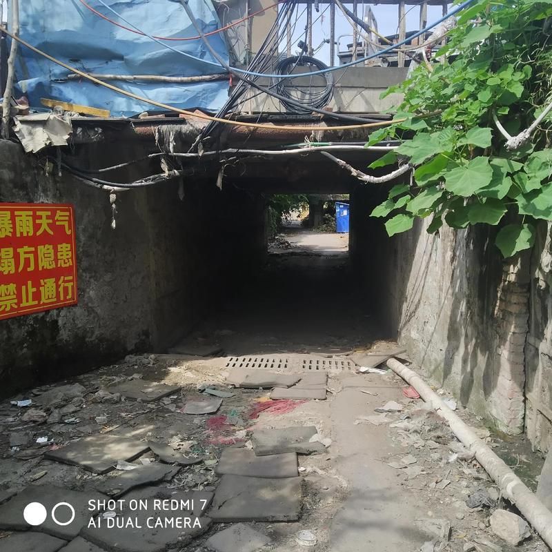 【疫情最新报告安徽淮南谢家集区新闻,淮南谢家集区现在下雨没有】