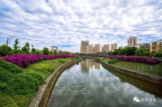 【四川省资阳市乐至县疫情最新实数据_四川省资阳市乐至县低保】
