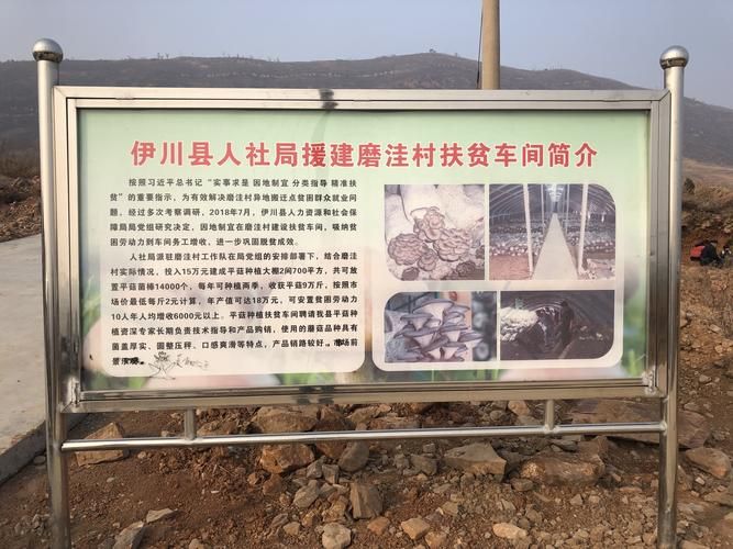 预计昨日山西省吕梁市兴县二次疫情反弹/山西省吕梁市兴县外出打工补贴政策