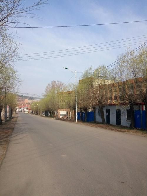 查找黑龙江鸡西梨树区最新疫情/鸡西梨树区天气查询
