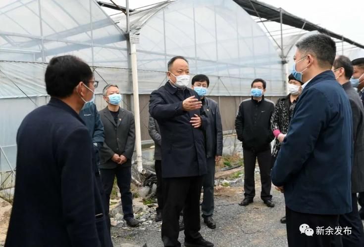 分宜县疫情最新实数据(分宜县最新领导名单照片)