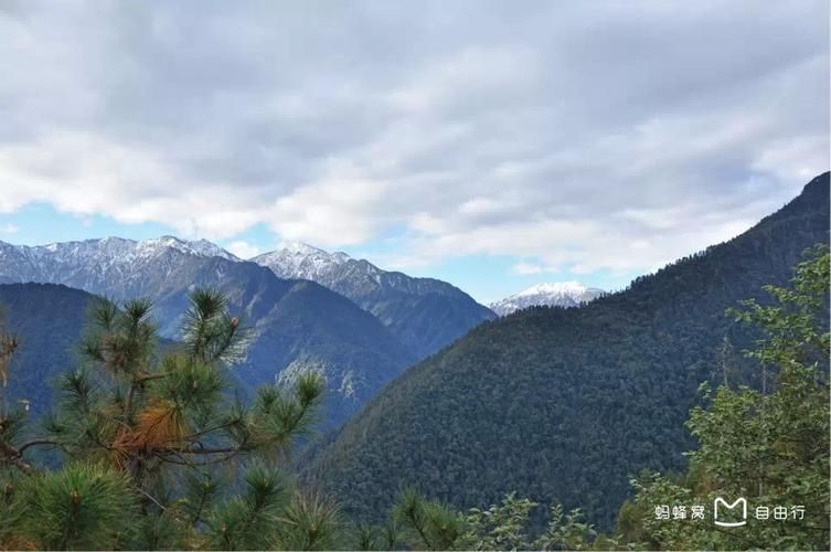 解读贡山独龙族怒族自治县疫情最新消息/贡山独龙族怒族自治县副县长