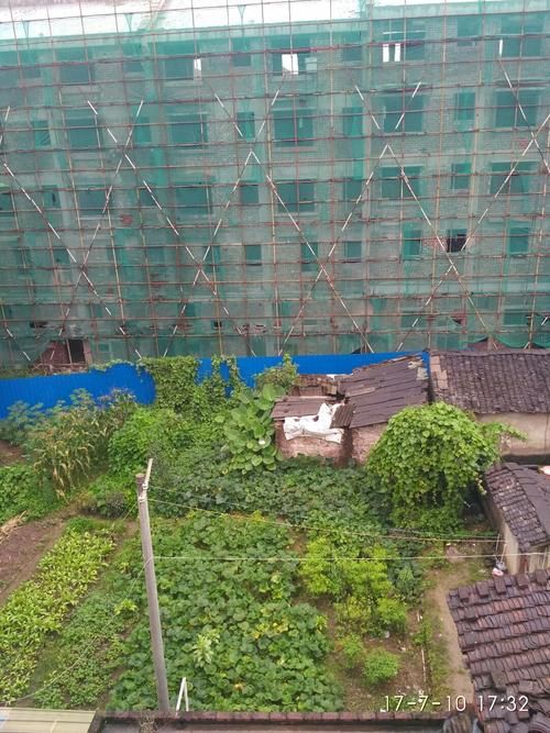 近期疫情最新通报广西壮族自治区玉林市_广西壮族自治区玉林市天气预报