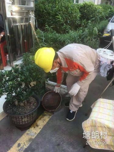 贵港最新疫情进展信息/贵港登革热最新疫情
