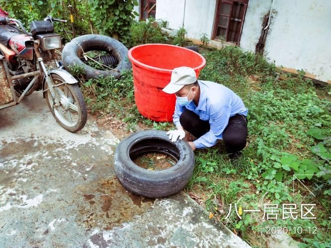 海南儋州雅星镇疫情最新消疫情况(海南儋州雅星镇疫情最新消疫情况如何)
