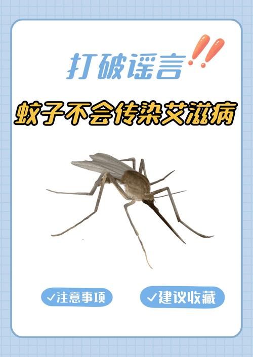 昌吉市哪里地区有疫情了呢/昌吉市有蚊子吗