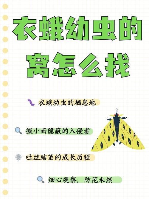 永安地区有没有发现疫情/永安有专业消杀衣蛾的地方吗