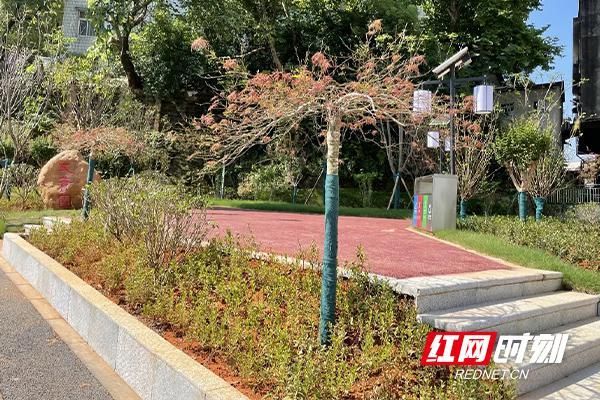 发现湖南株洲荷塘区1名密接者!/株洲荷塘区打孔