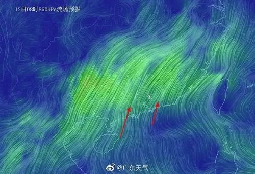 万山区8月2日新增17例境外输入/万山区今日天气情况
