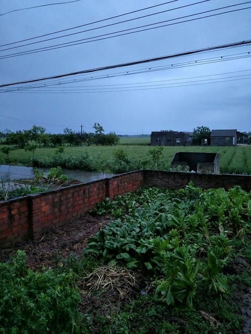 今日湖北省荆州市松滋市疫情最新/湖北省荆州市松滋市鸡米市村