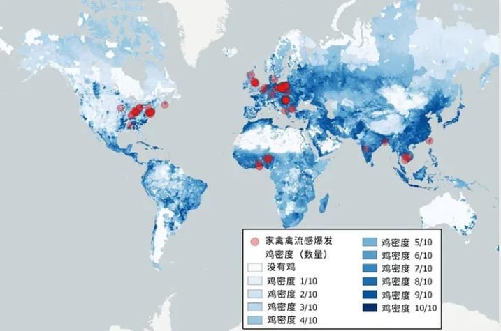 全球新增28例确诊其中本土28例/全美已有66人确诊感染禽流感