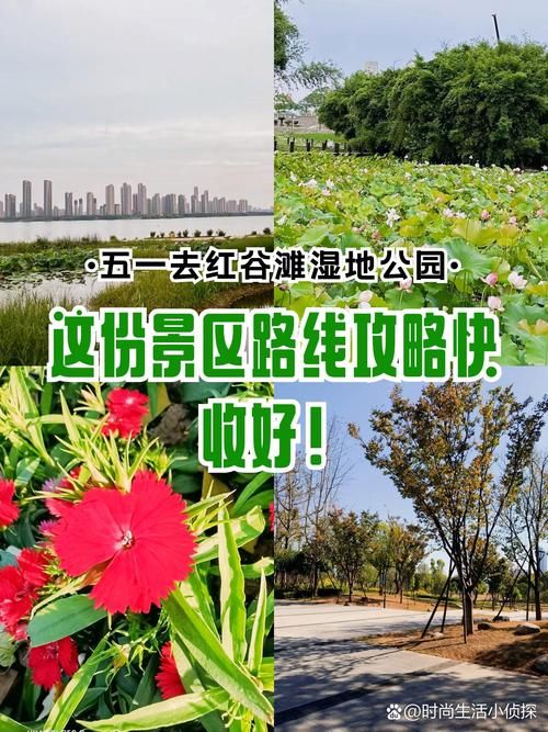 解读江西南昌红谷滩区疫情最新消息(江西南昌红谷滩再添一处公园)