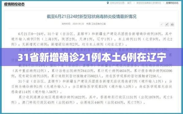 31省市近期最新疫情数据:31省市新增疫情最新消息