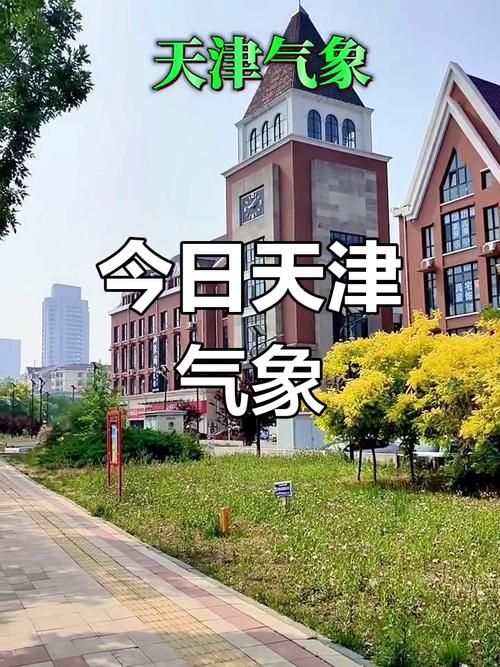 天津河北区疫情最新消疫情况(天津河北区最新天气亮点)