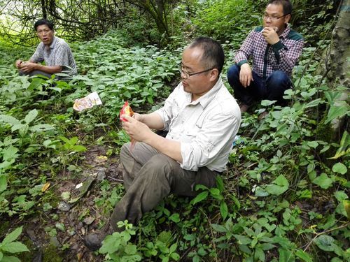 湖南湘西土家族苗族自治州保靖县首例重症来源公布(湖南省湘西土家族苗族自治州保靖县人力资源部)