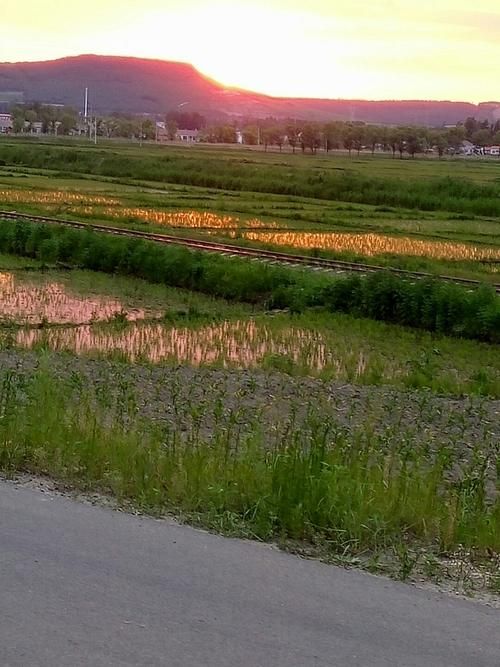 【疫情恒山区最新通知_恒山区未来一周天气怎么样】