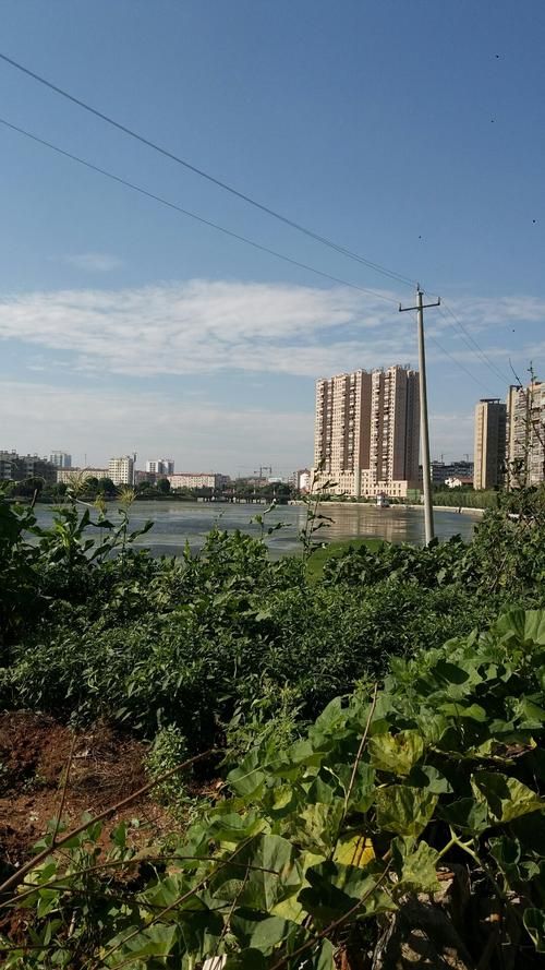 湖北省随州市广水市今日新增阳性感染者21例(湖北省随州市广水市景点)