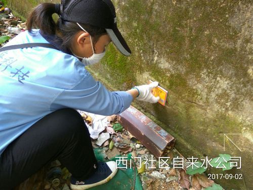 【定安县新增无症状感染者11例,均在万源市_定安县2026年新录用公务员】