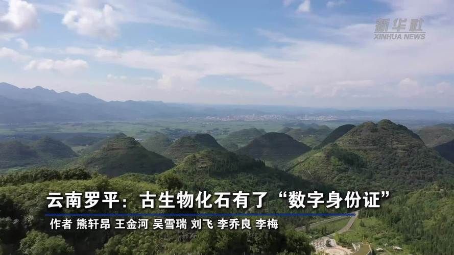 云南曲靖罗平县今日新增9例核酸阳性/云南曲靖罗平县身份证