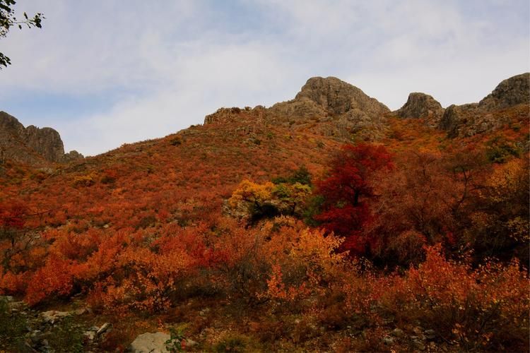 内蒙古自治区赤峰巴林左旗算是疫情风险地区吗:内蒙古自治区赤峰市巴林左旗