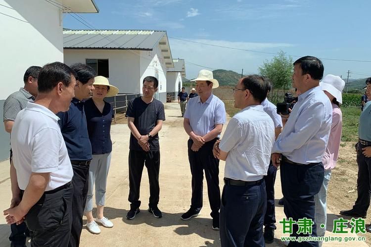 解读疫情最新消息甘肃省平凉市庄浪县/甘肃省平凉市庄浪县县长是谁