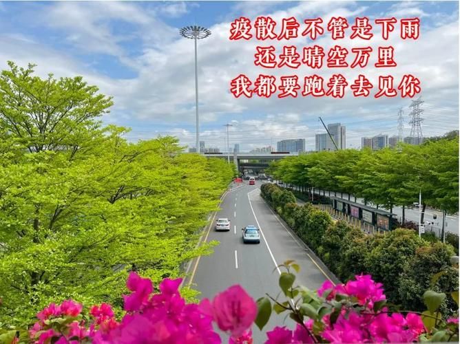 云南省大理白族自治州弥渡县近4天新增6例无症状感染者/云南大理弥渡县天气预报15天