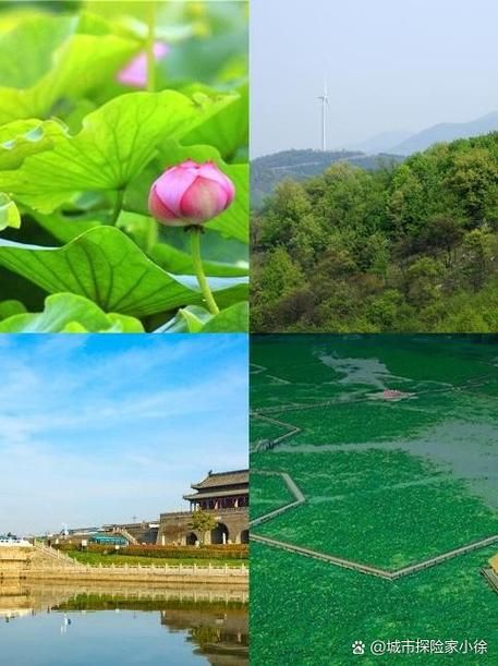 【预计昨日安徽省淮南市寿县二次疫情反弹_安徽省淮南市寿县历史】
