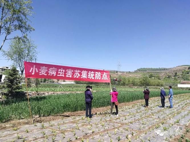 康乐县有什么疫情地区/康乐县有什么疫情地区吗
