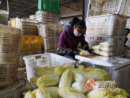 云南玉溪通海县最新疫情情况通报/云南玉溪通海县海拔多少米