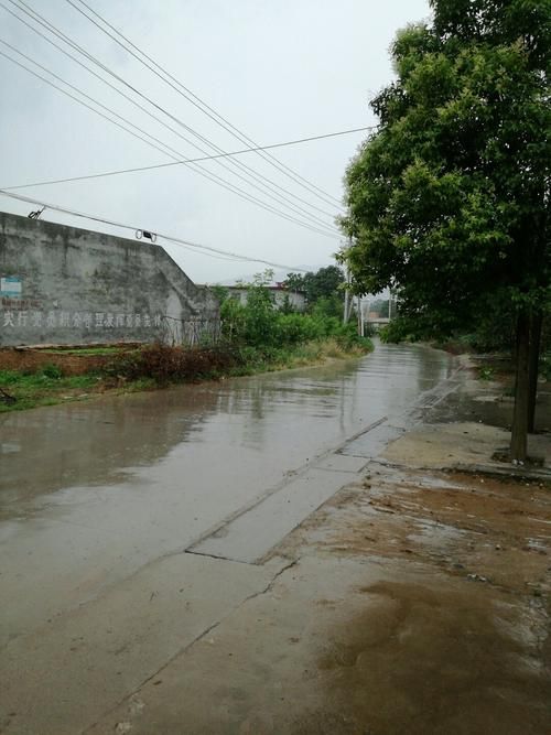 河南省三门峡市灵宝市通报3例重症详情/河南省三门峡市灵宝市生活最低保障