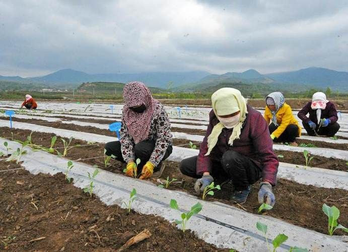 解读泾源县疫情最新消息:泾源县新闻版头回放2025年