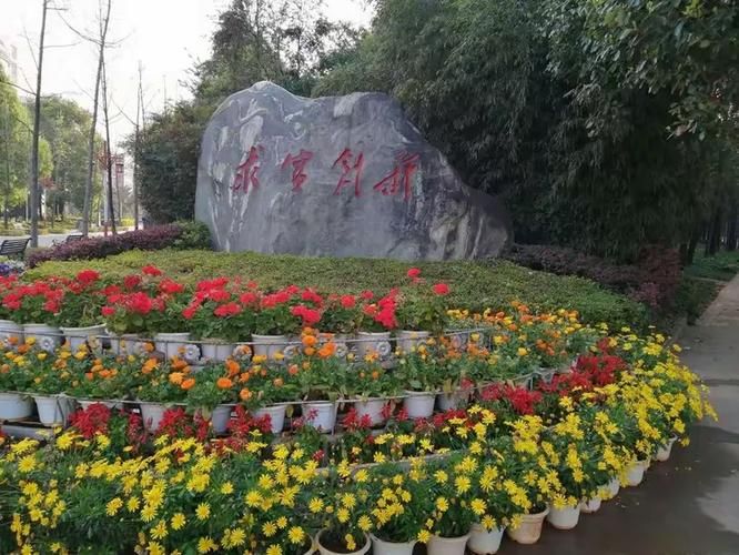 海棠区最新通告:所有人员封城(海棠区最新天气)